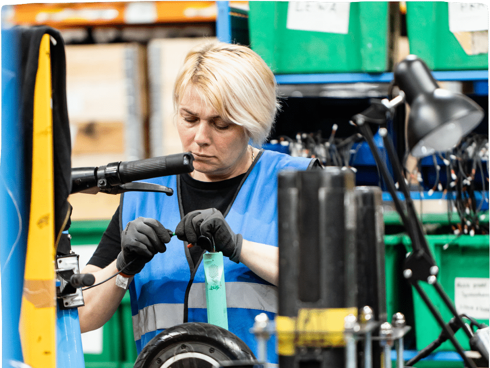 Tier dottsustainabilityreport blogimage 3