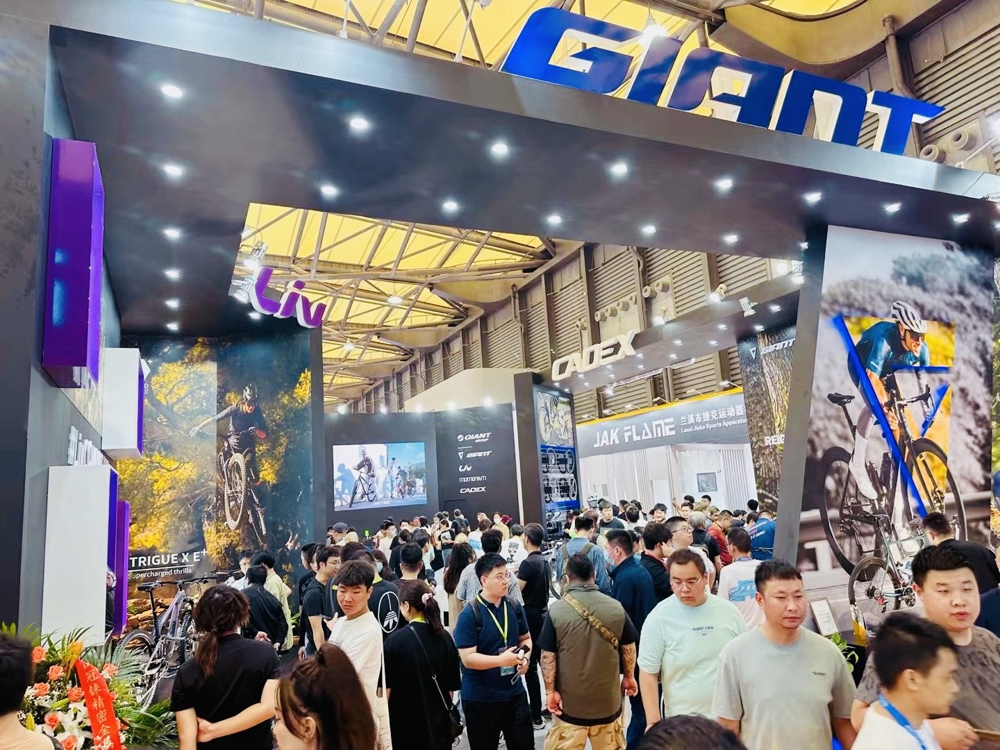 362aac14 32b0 4778 b078 f7128cc42c1f