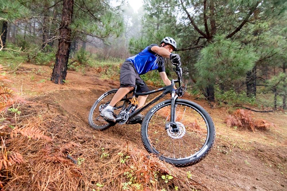 515018139 24337868215831353 3481383935069909999 n