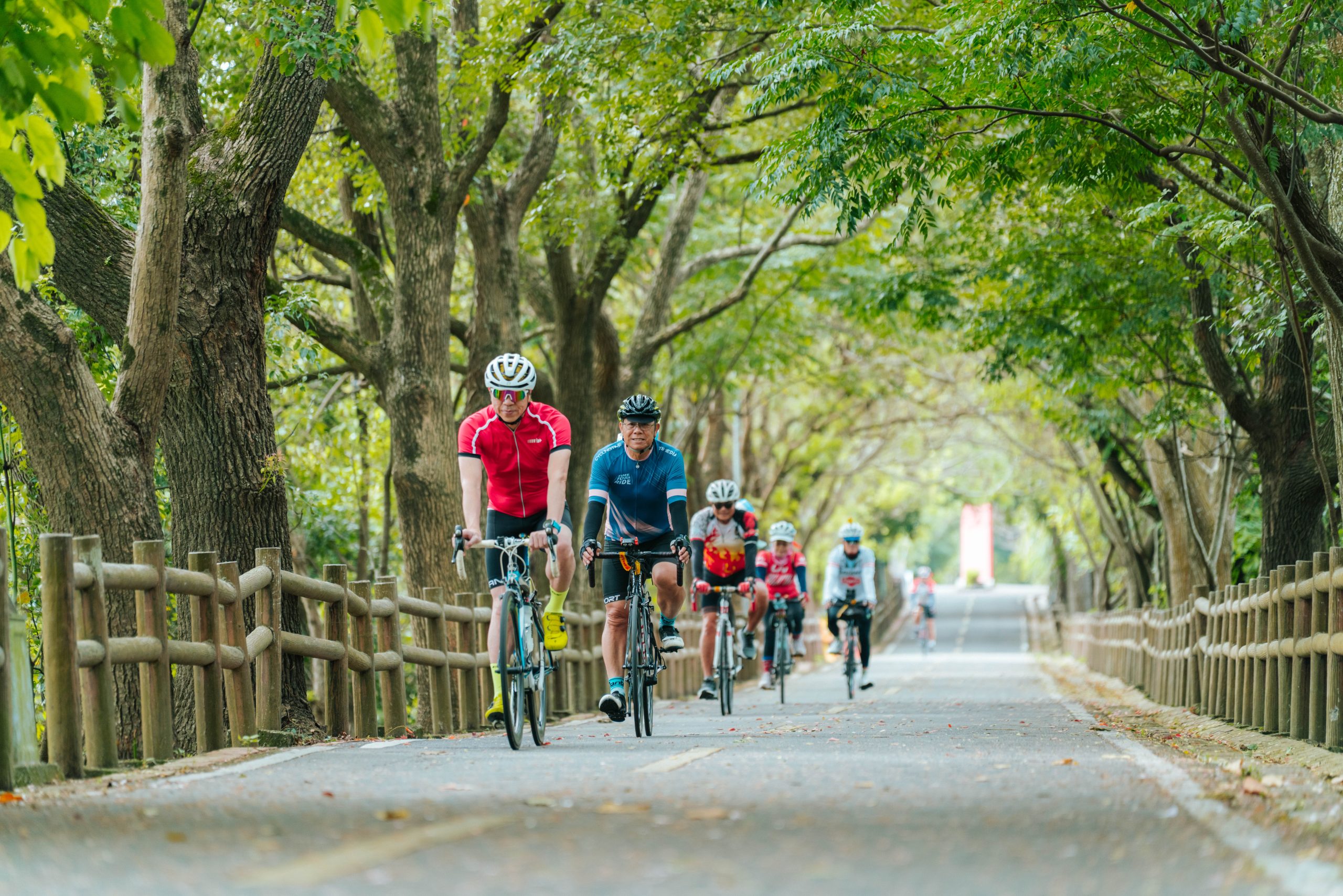 東豐自行車綠廊 0 0