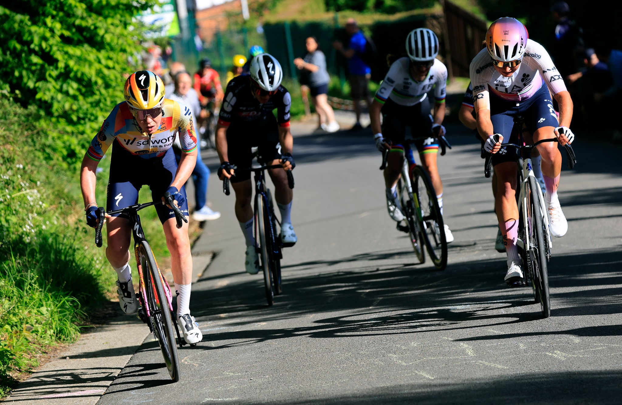 680755031 1335390818636126 7450513046684933277 n