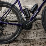 Campagnolo record same stone details 2