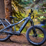 1184382 rad life mobility acquires quietkat from r